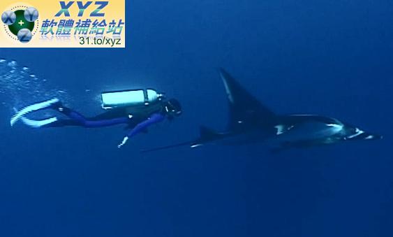 天才寶貝熊 Baby Genius 音樂成就不同 水下冒險 Underwater Adventures 01-04集(幼兒教學)(適用任何家用DVD播放機)(DVD版)