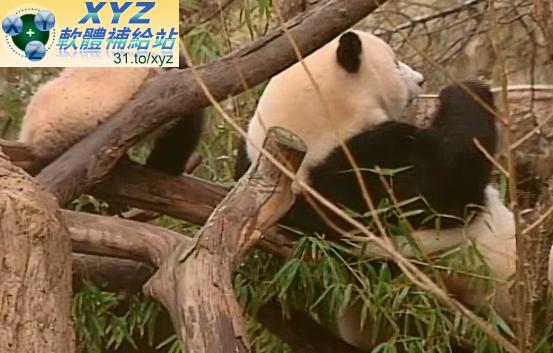 天才寶貝熊 Baby Genius 音樂成就不同 聖地亞哥動物園之旅 A Trip to the San Diego Zoo 01-04集(完)(幼兒教學)(適用任何家用DVD播放機)(DVD版)